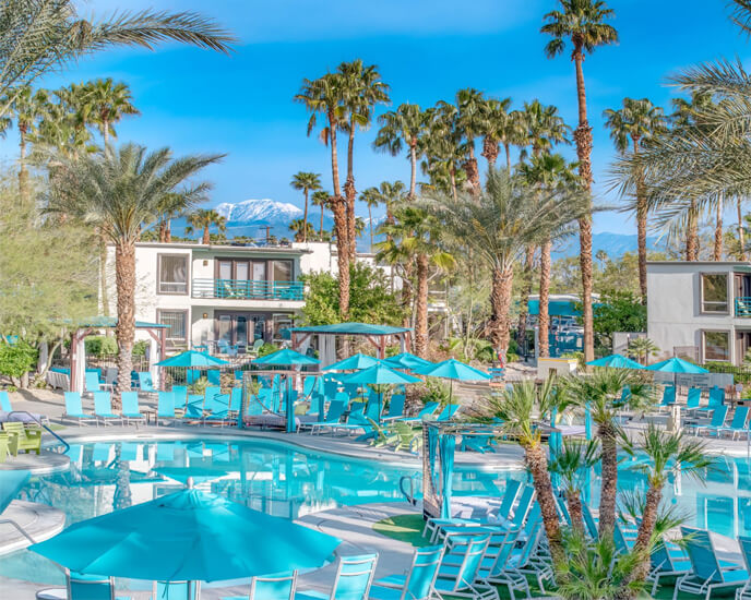 paradise-pool-and-bar-inner-new