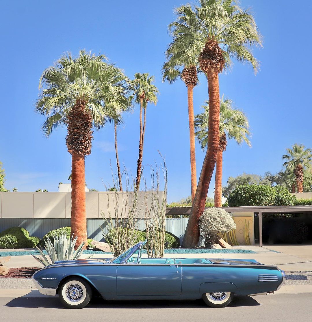 a car parked in front of palm trees